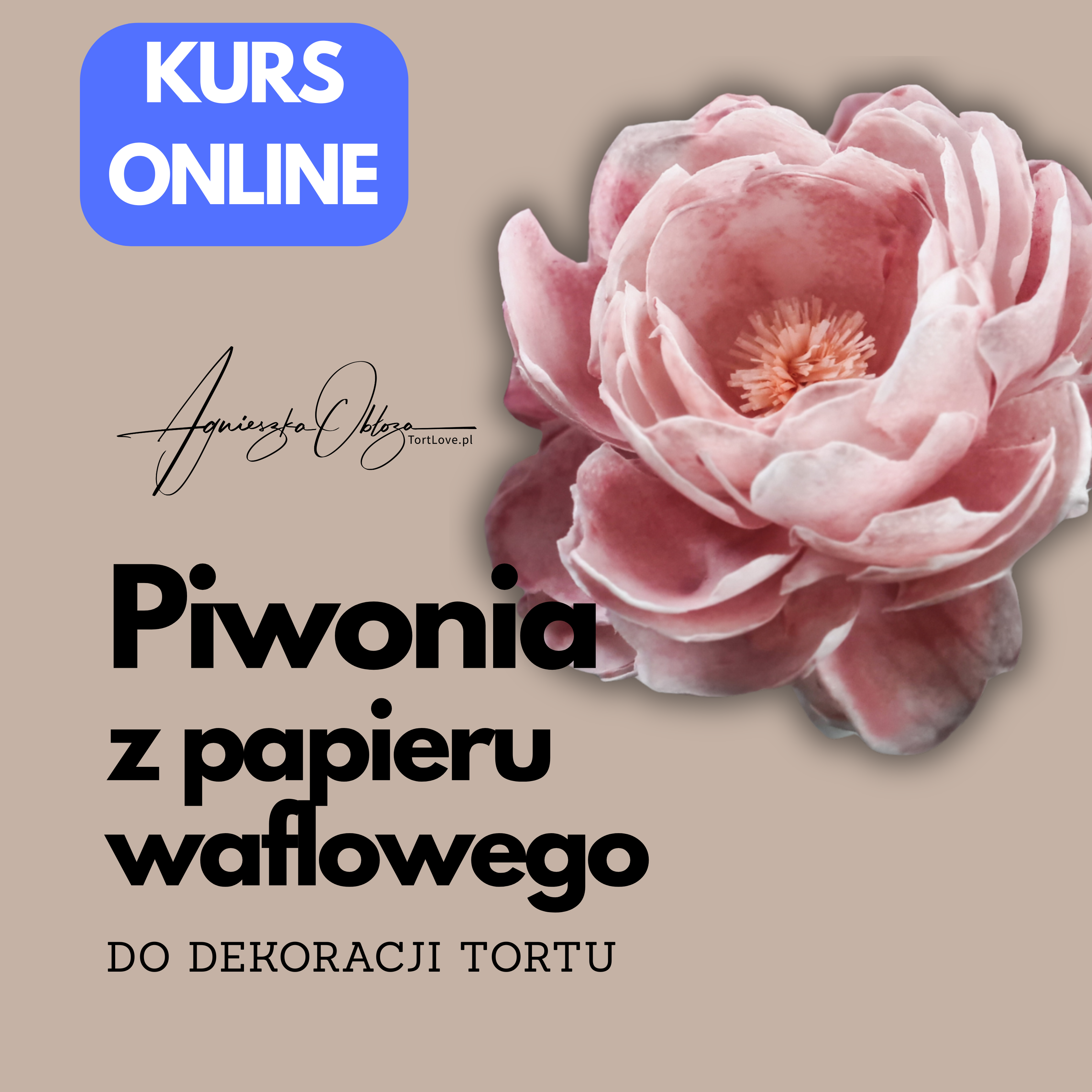 piwonia z papieru waflowego